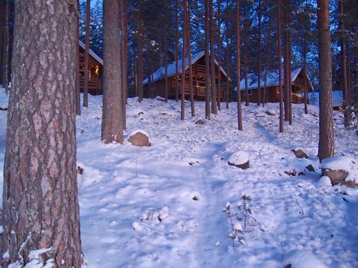 Koskenselaen Lomakylae Villa Puumala Dış mekan fotoğraf